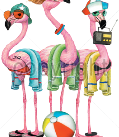 Flamingo Clipart Beach - Png Download (640x480), Png Download