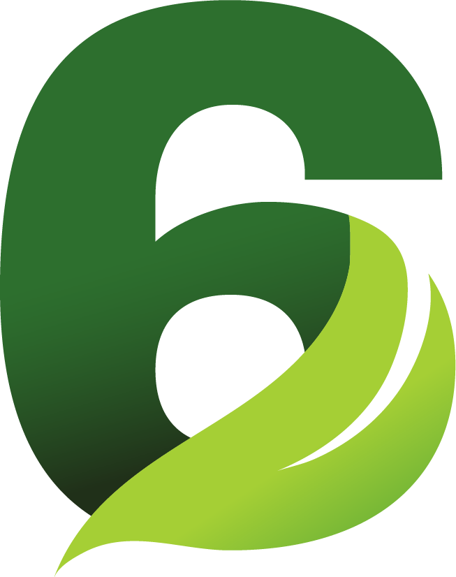 Carpet Cleaning Clipart (653x826), Png Download