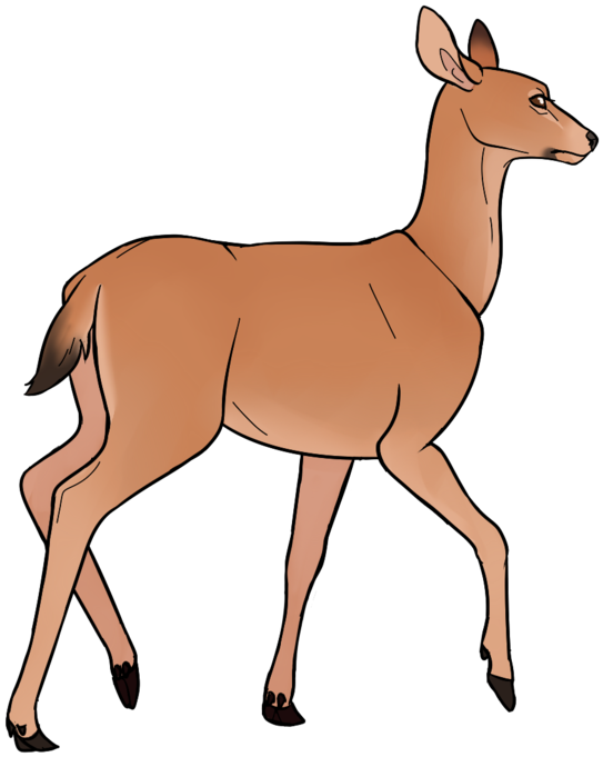 Doe Clipart - Mule - Png Download (600x686), Png Download