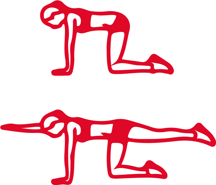 Start On Your Hands And Knees, With Your Hands Directly Clipart (800x800), Png Download