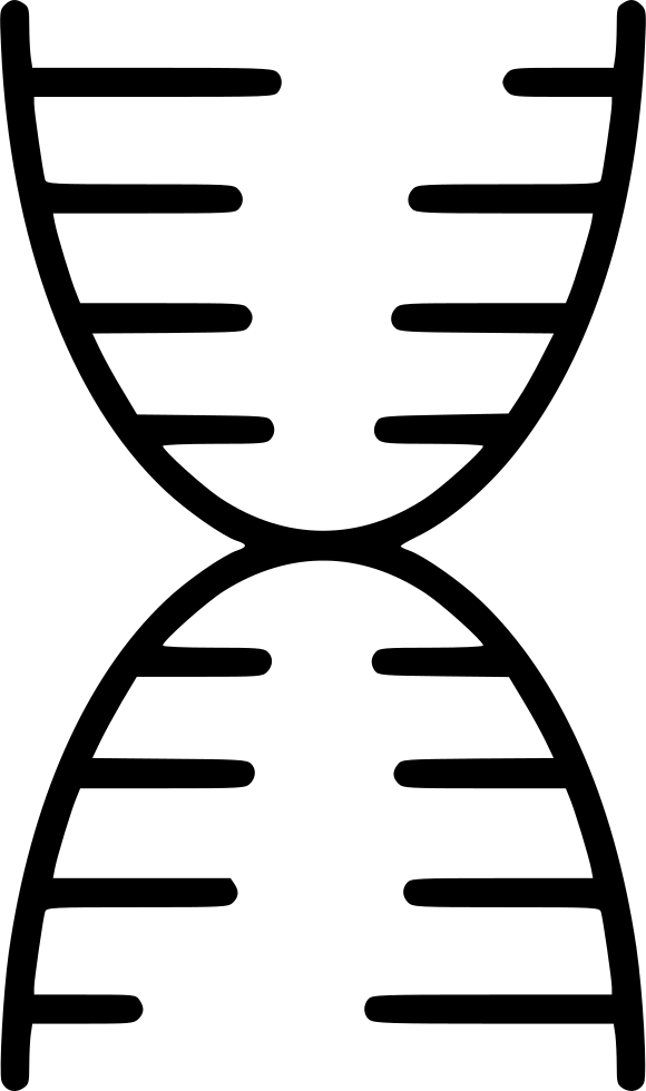 Dna Structure Clipart Svg - Dna Representation - Png Download (580x980), Png Download