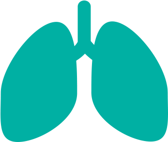 About Ipf European Idiopathic Pulmonary Fibrosis Related - Respiratory Icon Clipart (761x509), Png Download