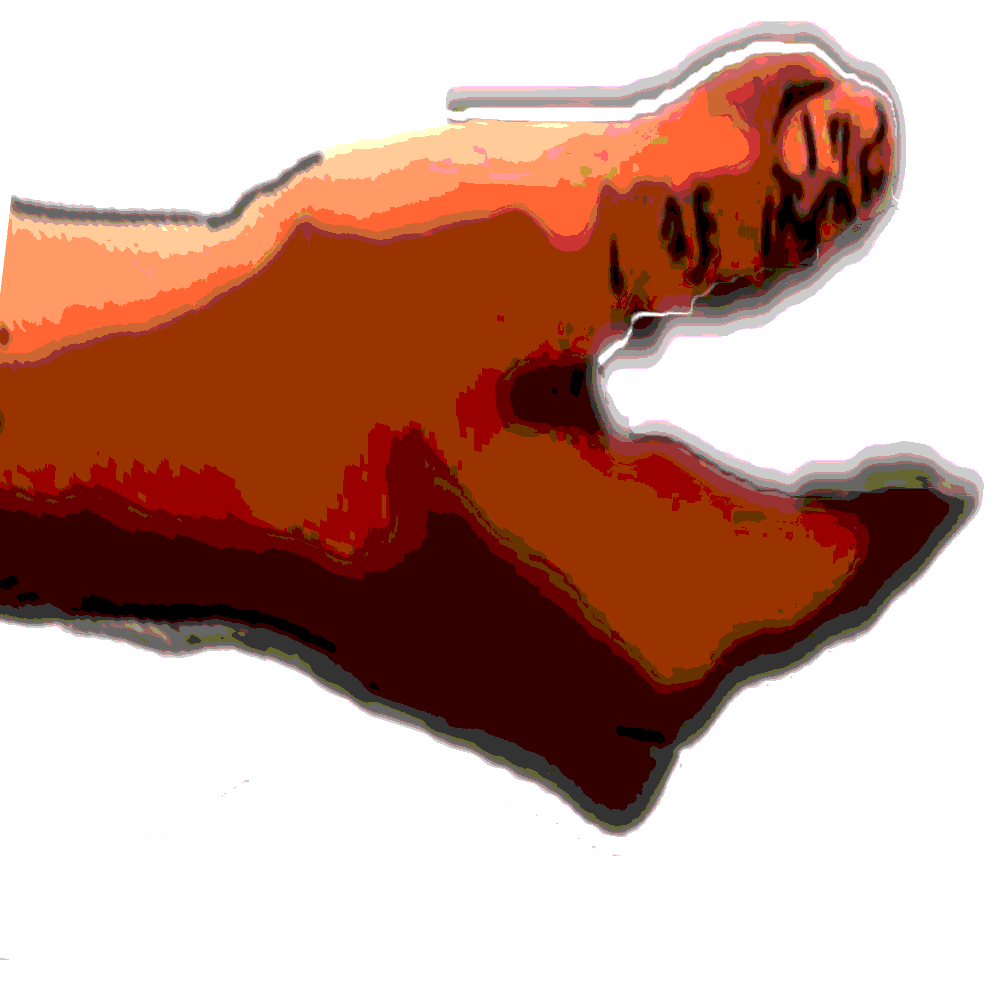 Hand Image - Clip Art - Png Download (1000x1000), Png Download
