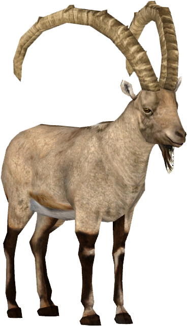 Ibex Clipart - Ibex Png Transparent Png (642x642), Png Download