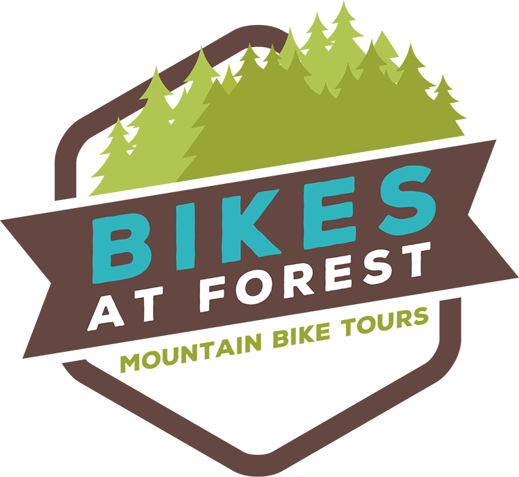 Bikes At Forest Clipart (750x690), Png Download