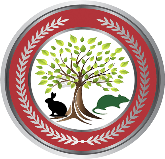About The Journal - Research Clipart (604x585), Png Download