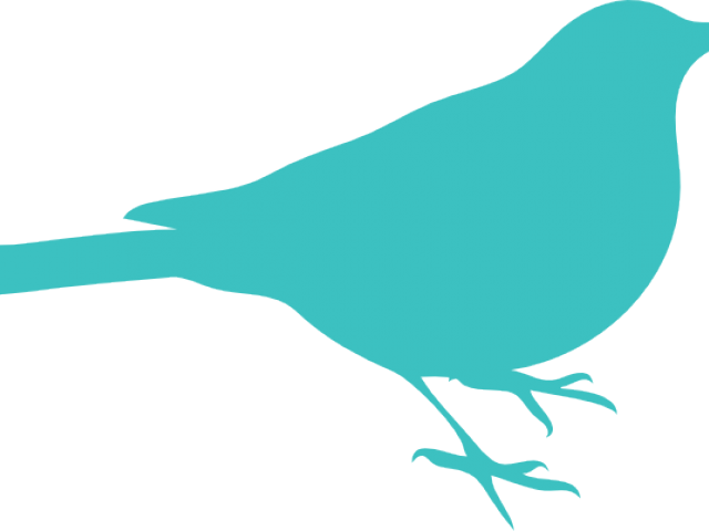 Bird Is The Word Sticker Clipart (640x480), Png Download