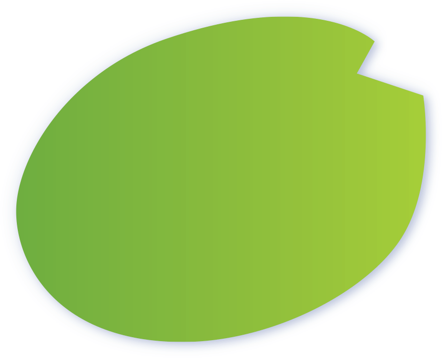 From The Pond - Pond Leaf Clipart - Png Download (930x750), Png Download