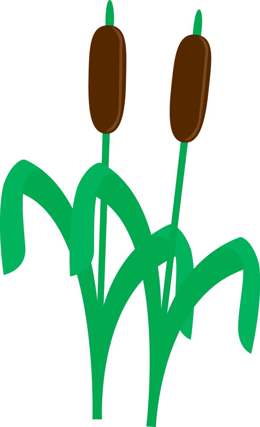 Photo By @danimfalcao - Pond Life Clip Art - Png Download (915x1500), Png Download