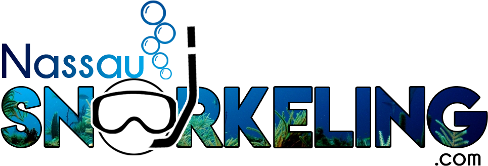 Logo Snorkeling Clipart (989x352), Png Download