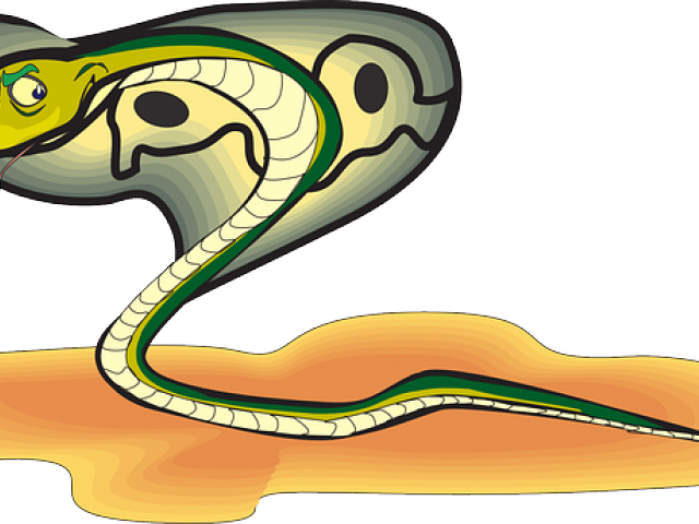 Gif Animados De Animales Reptiles Clipart (640x480), Png Download