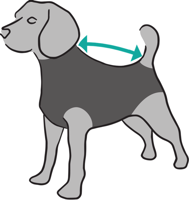 Cats - Cartoon Dog Recovering From Surgery Clipart (662x702), Png Download