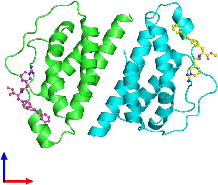 Download Ribbon Structure Of 1m48 Illustration Clipart (919835