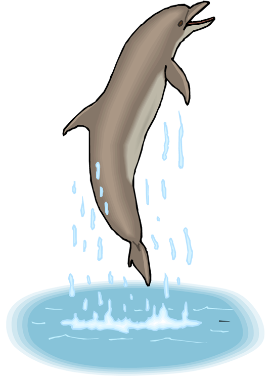 Dolphin Dance - Gif Dolphin Png Clipart (540x750), Png Download