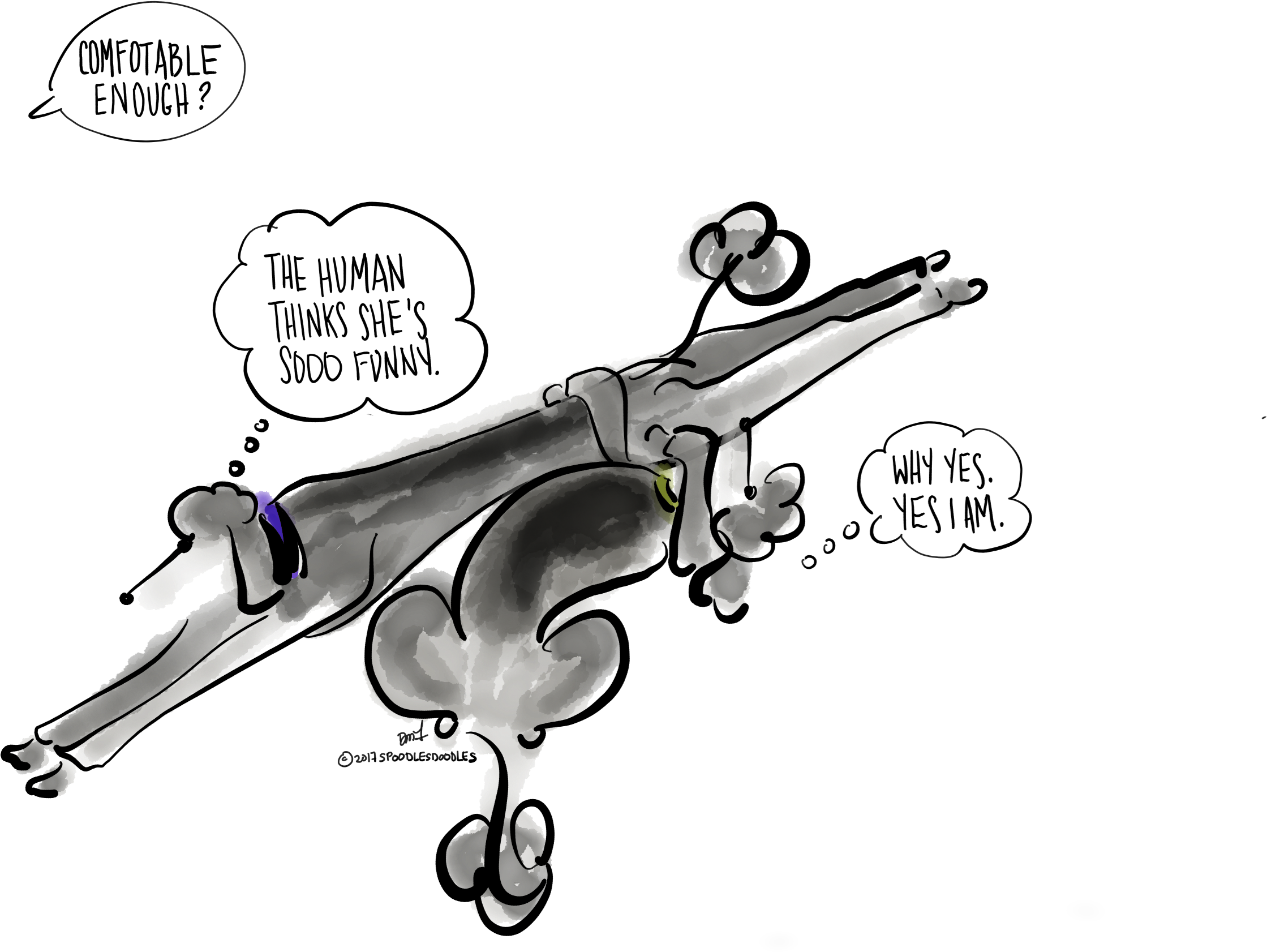 Standard Poodles, Poodles - Cartoon Clipart (2731x2048), Png Download