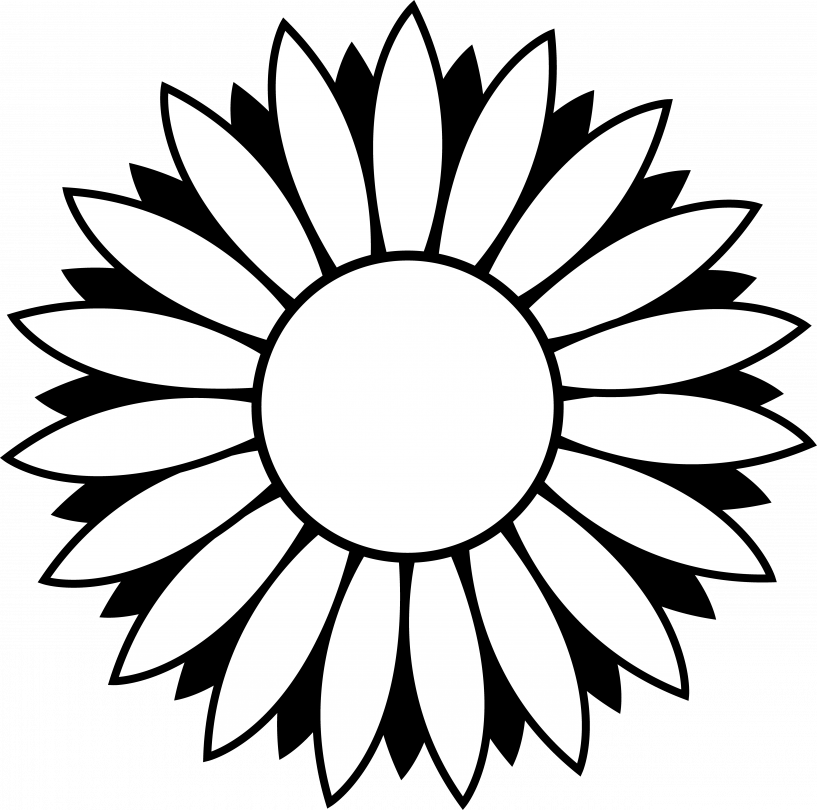 Sunflowers Clip Art Black And White - Png Download (817x810), Png Download