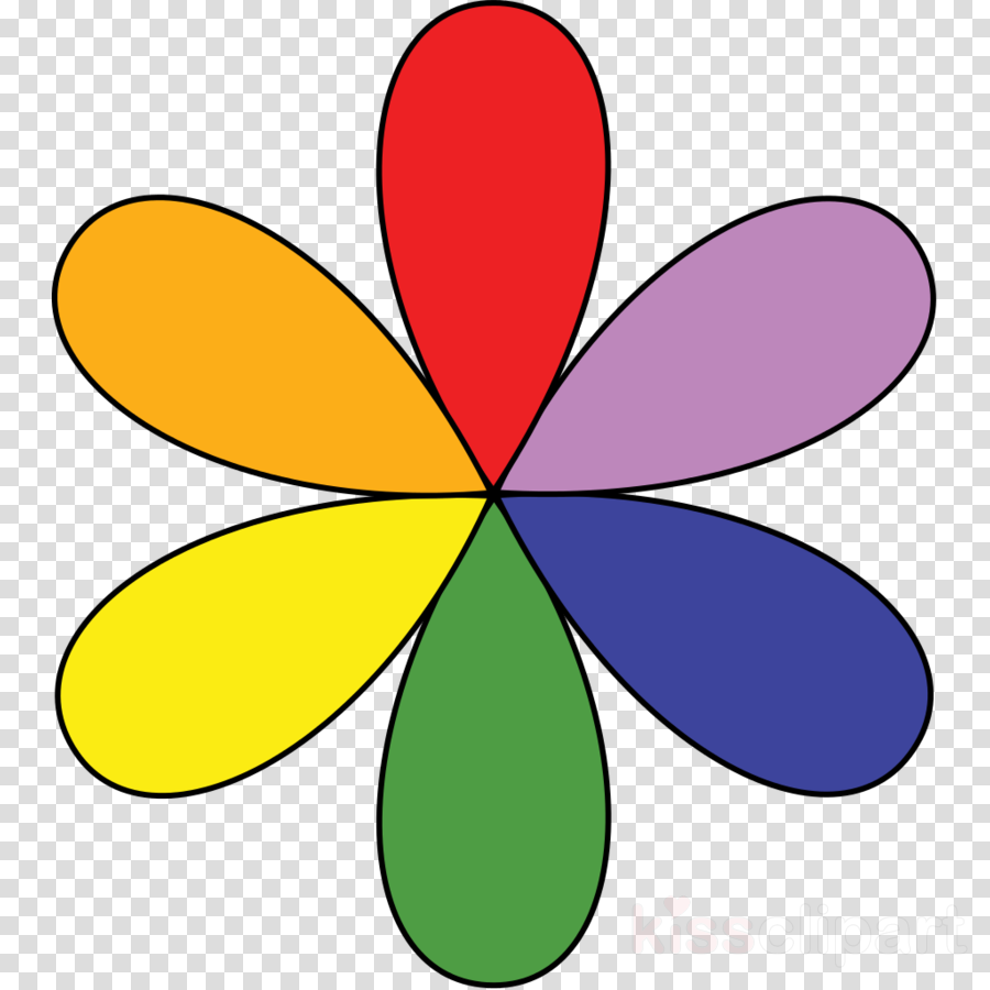 Vasta Värit Clipart Color Wheel Complementary Colors - Different Types Of Colour Wheel - Png Download (900x900), Png Download