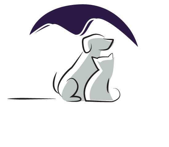 Animal Dental Clinic - Cartoon Clipart (621x498), Png Download