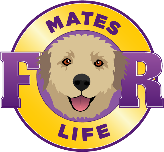 Canine Massage Clipart (600x600), Png Download