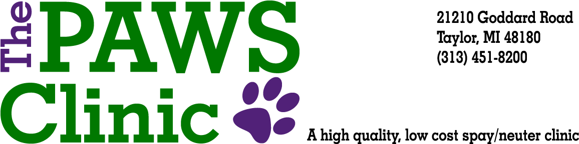 Clip Art - Png Download (1200x301), Png Download