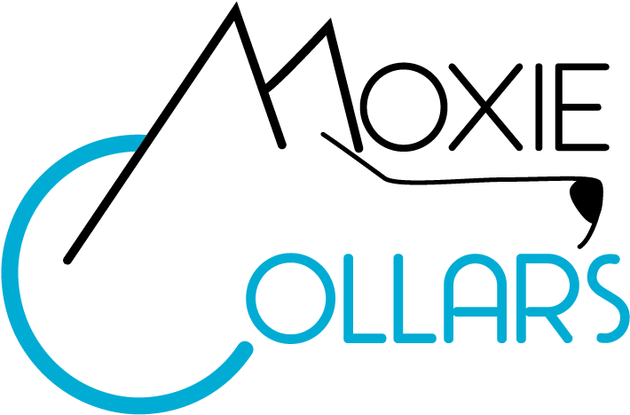 Product Clipart (732x484), Png Download