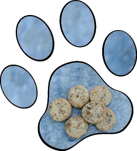 Healthy Pet Treats - Bizcochito Clipart (555x612), Png Download