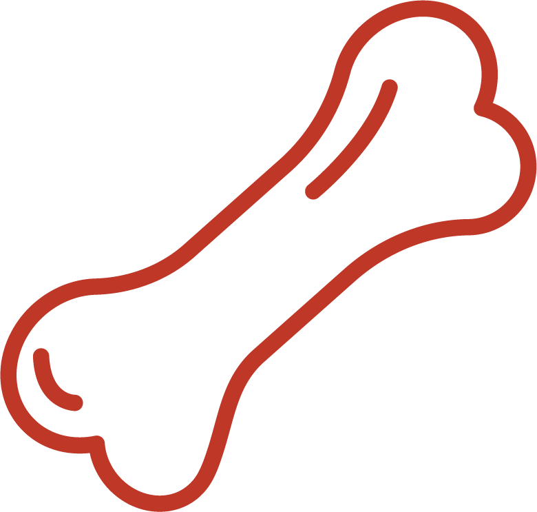 Supplements / Multivitamins, Dog Probiotics, Dog Treats - Osso De Cachorro Desenho Clipart (780x743), Png Download