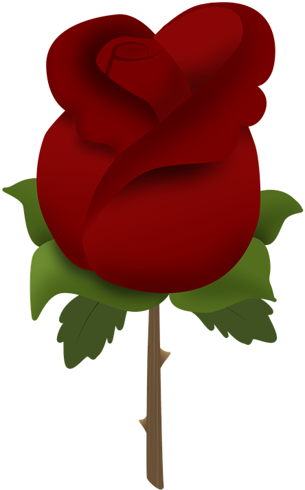 Red Rose Clipart Rose Bush - Ilustración Grafica Rosa Stencil - Png Download (720x720), Png Download