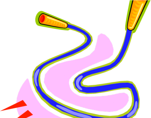 Jump Rope Clipart - Jump Rope - Png Download (640x480), Png Download