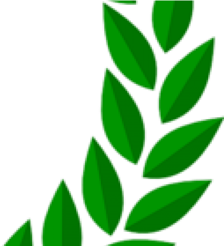 Laurel Gold Png Clipart (640x480), Png Download