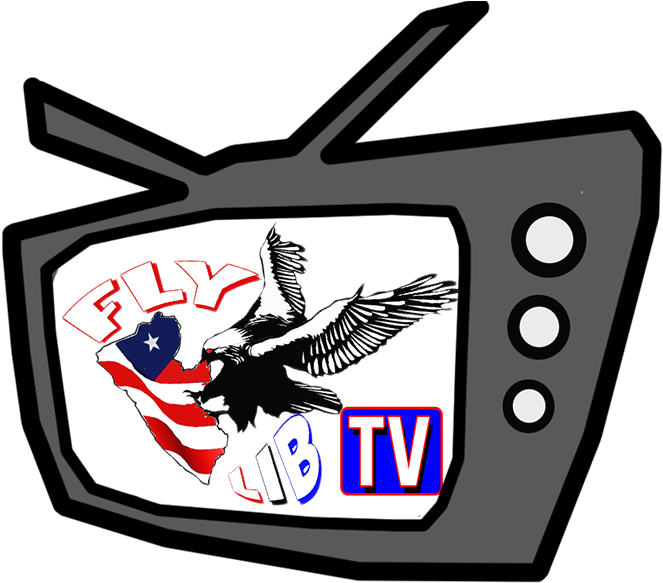 Flylib King - Falcon Bird Vinyl Wall Art Decal Sticker, Black, Size Clipart (741x741), Png Download