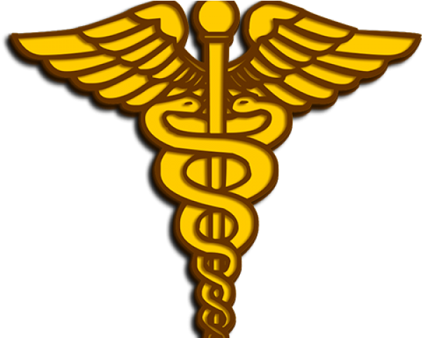 Doctor Symbol Clipart Military Medical - Dental Caduceus - Png Download (640x480), Png Download
