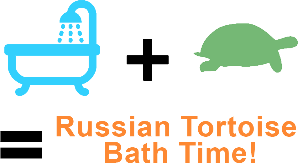 How To Bathe A Russian Tortoise - Russian Foreign Policy, 1994-1998: Charting An Independent Clipart (1024x630), Png Download