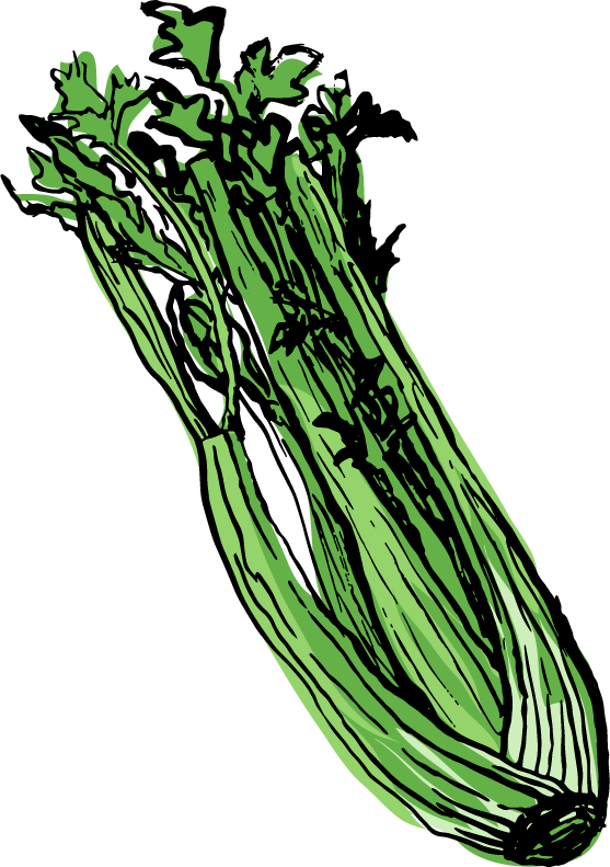 Celery - Food Clipart (557x791), Png Download