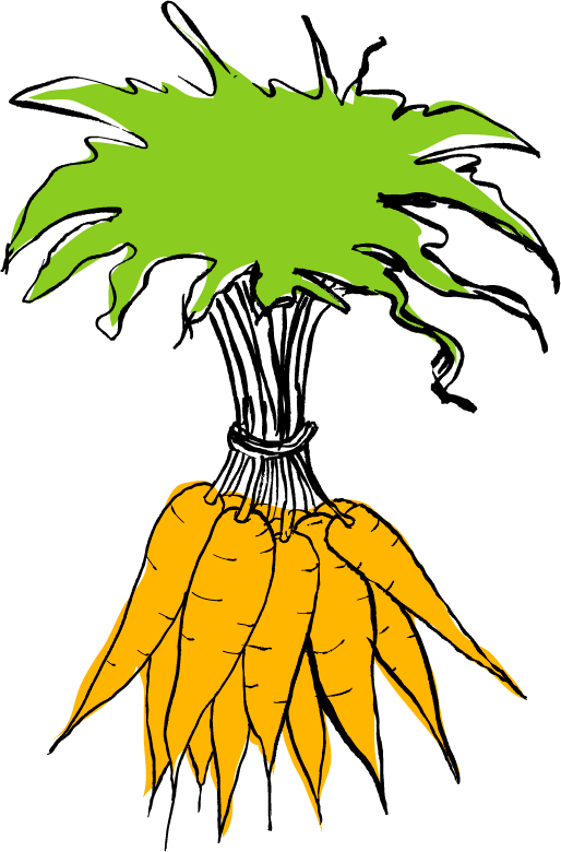 Carrots Clipart (514x780), Png Download
