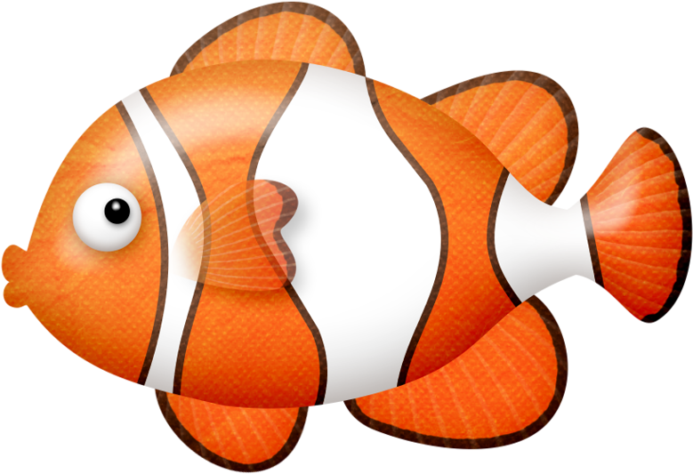 ○•‿✿⁀ocean Safari‿✿⁀•○ - Drawing Clipart (800x571), Png Download