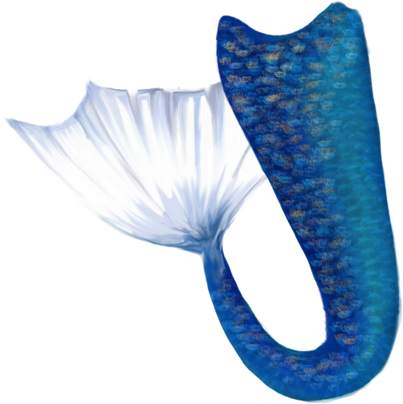 Marmand/fish Hd Clip Art - Transparent Mermaid Tails - Png Download (900x873), Png Download