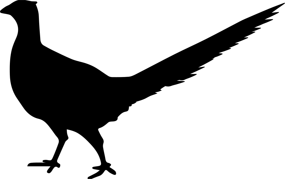 Bird Peasant Animal Shape Png Icon Free - Icon Clipart (981x616), Png Download