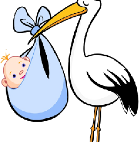 Delivery Clipart Transparent Background - Bird Carrying Baby - Png Download (640x480), Png Download