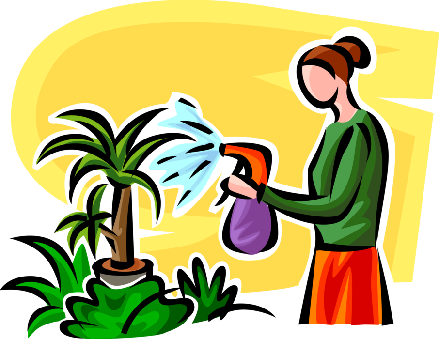 Vector Illustration Of Watering Houseplant Plants With - Annaffiare Le Piante Clipart - Png Download (906x700), Png Download