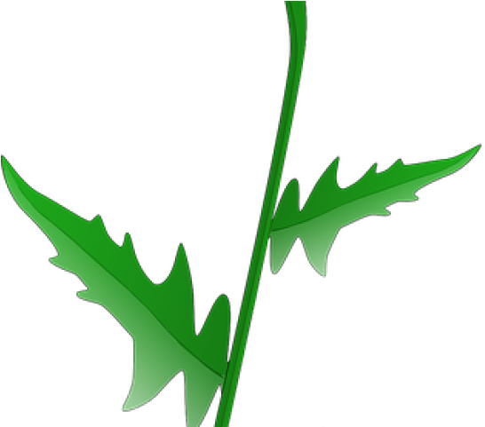 Daisy Clipart Stem - Daisy Clip Art - Png Download (640x480), Png Download