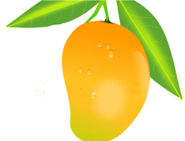 Fruit Clipart Mango - Mango Benefits In Hindi - Png Download (640x480), Png Download