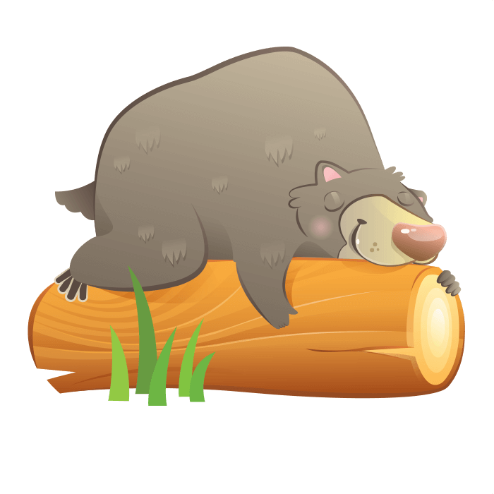 Sleeping Bear - Cartoon Clipart (700x700), Png Download