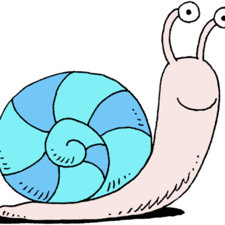 Clipart Snail - Png Download (900x900), Png Download
