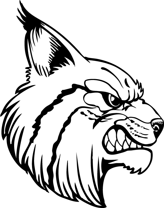Baw Bobcat 16 R - Cartoon Clipart (568x720), Png Download