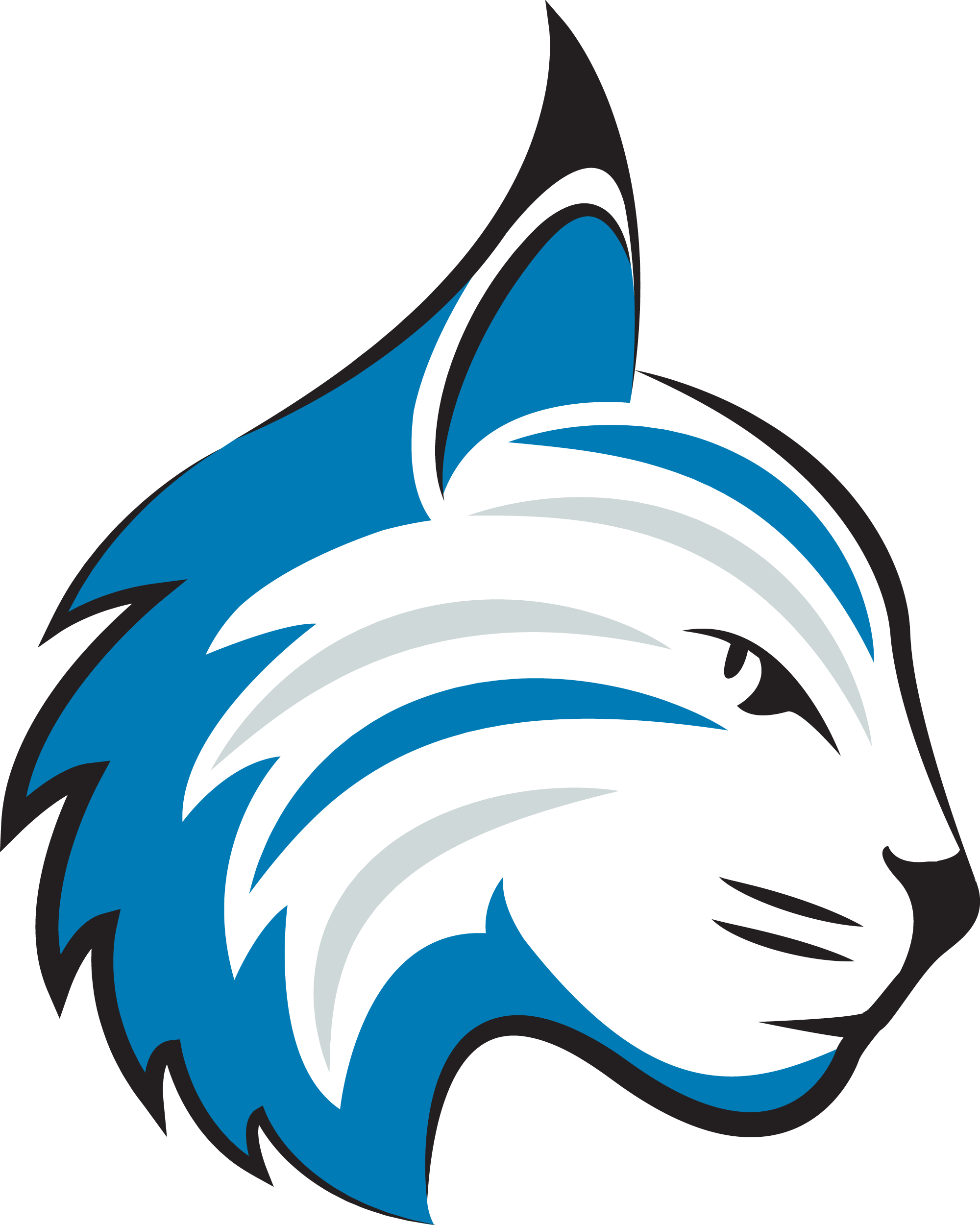 Sunset Hills Mascot - Sunset Hills Bobcats Clipart (2000x2500), Png Download