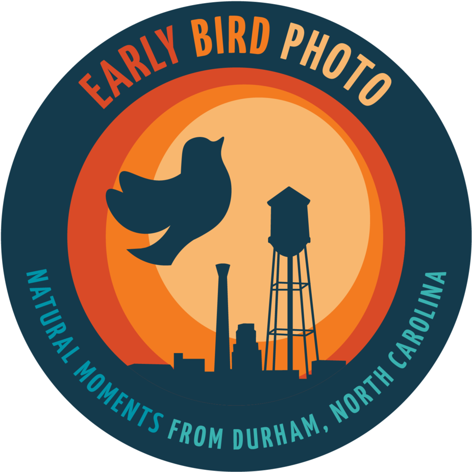 Bm Bsg Logovariations Transparent-durhamcolor - Portable Network Graphics Clipart (1000x989), Png Download