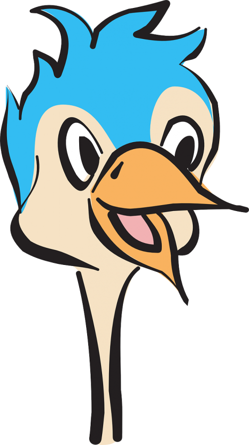 Cabeza De Avestruz Png Clipart (500x892), Png Download