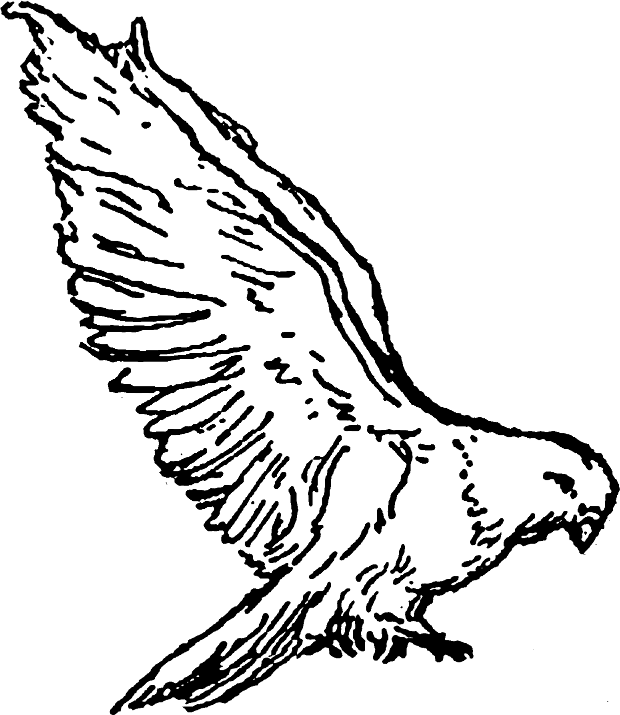 Clipart Kite Digital - Buzzard - Png Download (1369x1600), Png Download