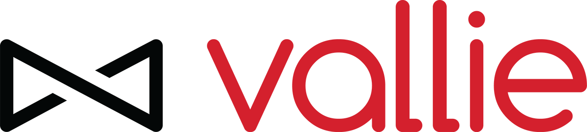 Vallie, The Uk's First On-demand Valet Parking Service, - Vallie Logo Clipart (1200x270), Png Download